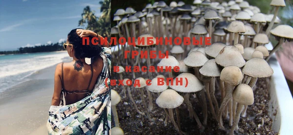 каннабис Пересвет