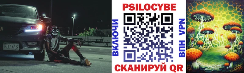 Псилоцибиновые грибы Psilocybe где найти наркотики Луза